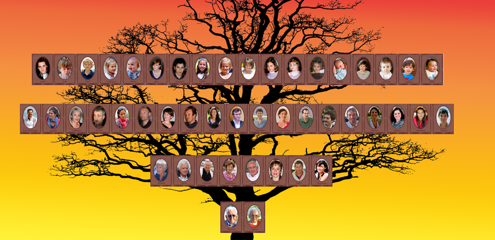 bandeaufamilytree