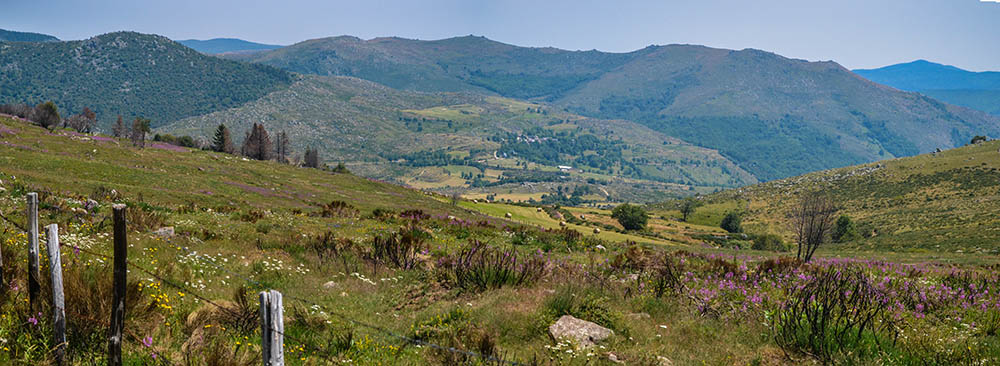 pano_finielscrop
