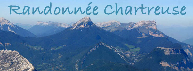 bandeauchartreuse